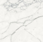 Origines Blanc 24x24 Matte Porcelain Tile