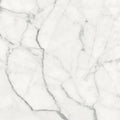 Origines Blanc 24x24 Matte Porcelain Tile