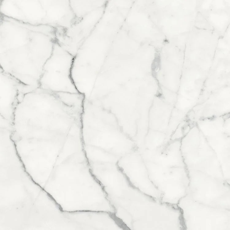 Origines Blanc 24x24 Matte Porcelain Tile