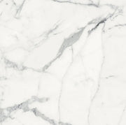 Origines Blanc 24x24 Matte Porcelain Tile