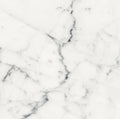 Origines Blanc 24x24 Matte Porcelain Tile