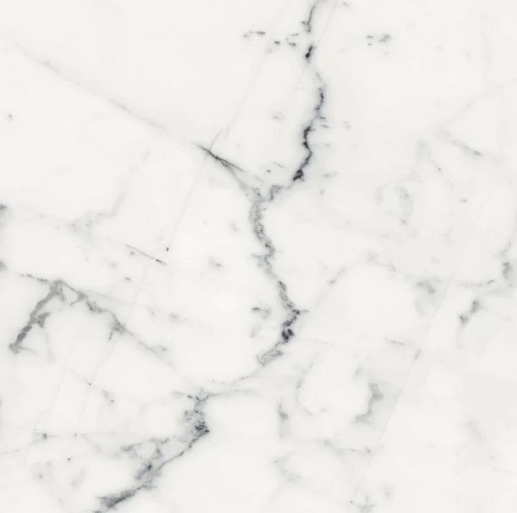 Origines Blanc 24x24 Matte Porcelain Tile