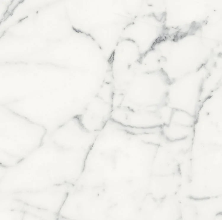 Origines Blanc 24x24 Matte Porcelain Tile