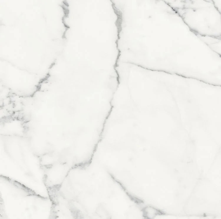 Origines Blanc 24x24 Matte Porcelain Tile