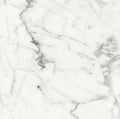 Origines Blanc 24x24 Matte Porcelain Tile