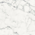 Origines Blanc 24x24 Matte Porcelain Tile