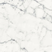 Origines Blanc 24x24 Matte Porcelain Tile