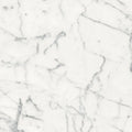 Origines Blanc 24x24 Matte Porcelain Tile
