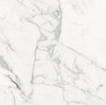 Origines Blanc 24x24 Matte Porcelain Tile