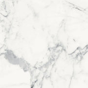 Origines Blanc 24x24 Matte Porcelain Tile