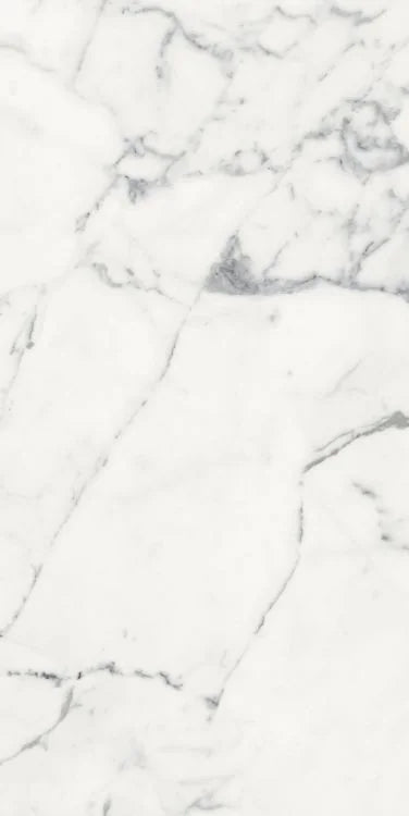 Origines Blanc 24x48 Matte Porcelain Tile