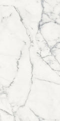 Origines Blanc 24x48 Matte Porcelain Tile