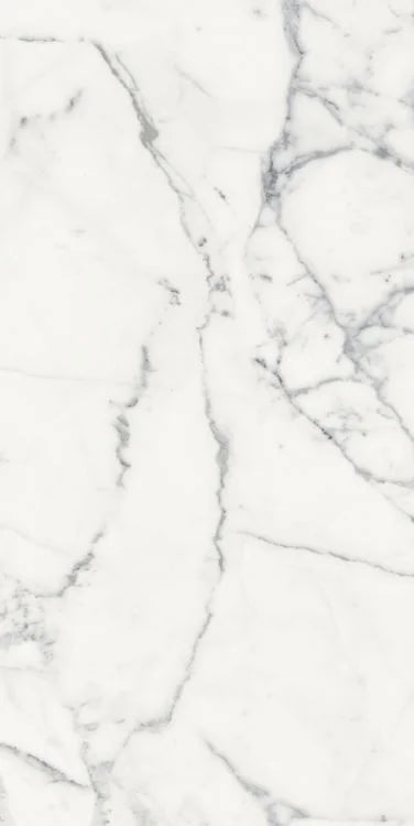 Origines Blanc 24x48 Matte Porcelain Tile