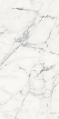 Origines Blanc 24x48 Matte Porcelain Tile