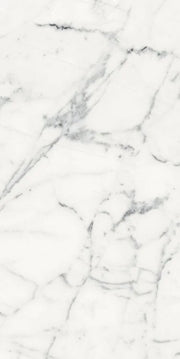 Origines Blanc 24x48 Matte Porcelain Tile