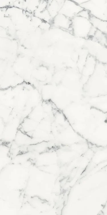 Origines Blanc 24x48 Matte Porcelain Tile