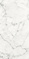 Origines Blanc 24x48 Matte Porcelain Tile