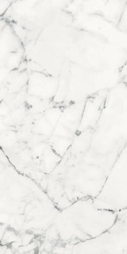 Origines Blanc 24x48 Matte Porcelain Tile