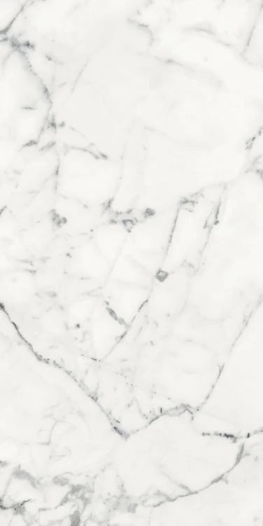 Origines Blanc 24x48 Matte Porcelain Tile