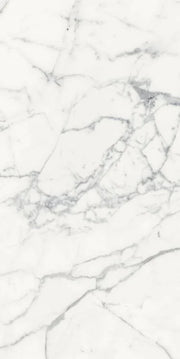 Origines Blanc 24x48 Matte Porcelain Tile