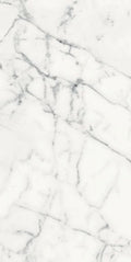 Origines Blanc 24x48 Matte Porcelain Tile