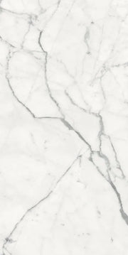 Origines Blanc 24x48 Matte Porcelain Tile