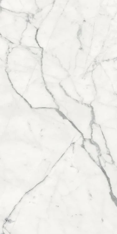 Origines Blanc 24x48 Matte Porcelain Tile