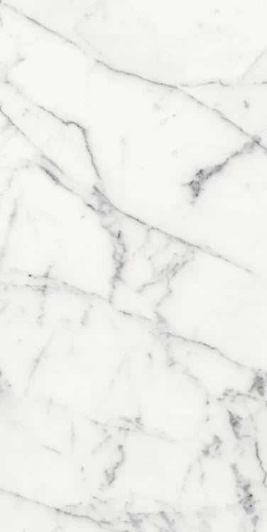 Origines Blanc 24x48 Matte Porcelain Tile