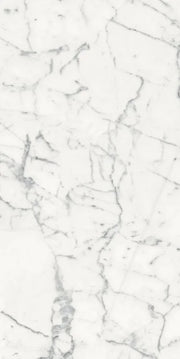 Origines Blanc 24x48 Matte Porcelain Tile