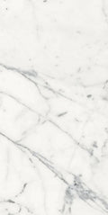 Origines Blanc 24x48 Matte Porcelain Tile
