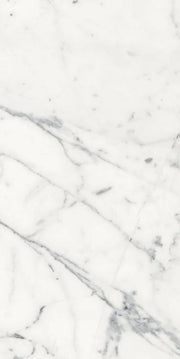 Origines Blanc 24x48 Matte Porcelain Tile