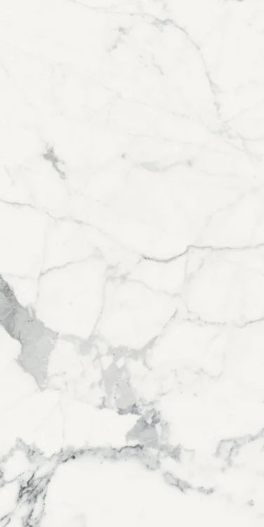 Origines Blanc 24x48 Matte Porcelain Tile