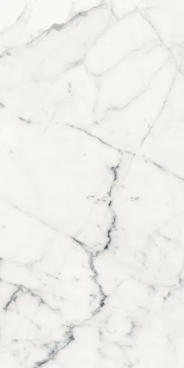 Origines Blanc 24x48 Matte Porcelain Tile