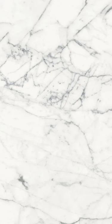 Origines Blanc 24x48 Matte Porcelain Tile