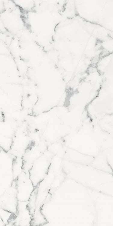 Origines Blanc 24x48 Matte Porcelain Tile