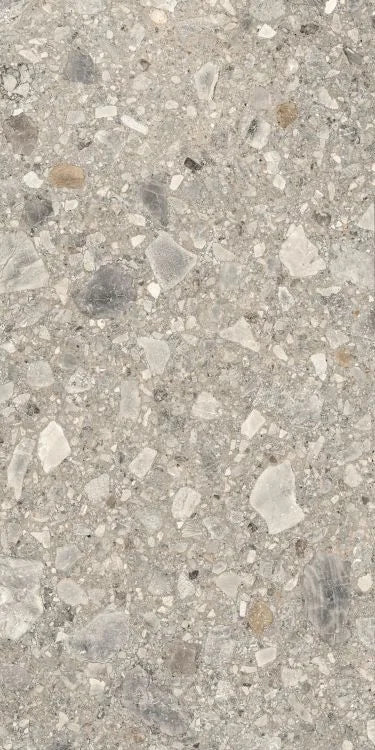 Orobica Beige 24x48 Matte Porcelain Tile