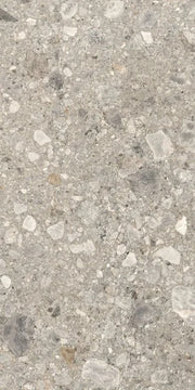 Orobica Beige 24x48 Matte Porcelain Tile