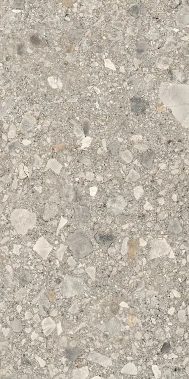 Orobica Beige 24x48 Matte Porcelain Tile