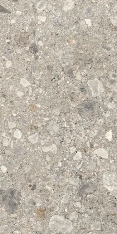 Orobica Beige 24x48 Matte Porcelain Tile