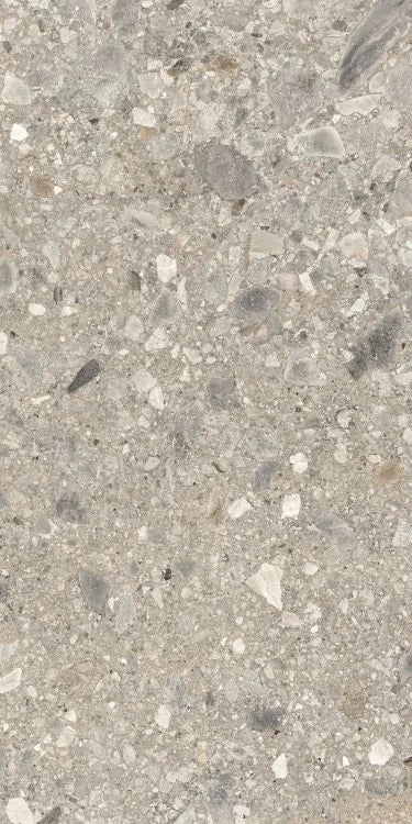 Orobica Beige 24x48 Matte Porcelain Tile