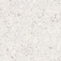 Orobica Bianca 24x24 Matte Porcelain Tile