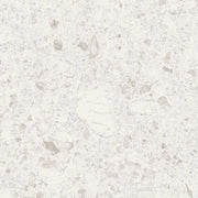 Orobica Bianca 24x24 Matte Porcelain Tile