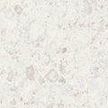 Orobica Bianca 24x24 Matte Porcelain Tile