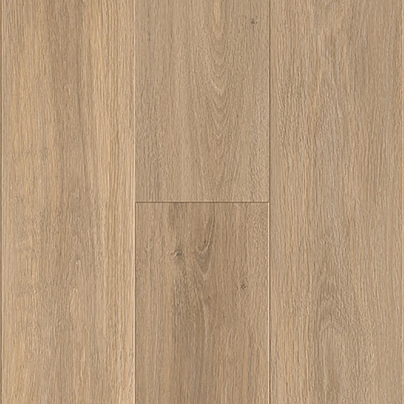 Pacific Vineyard Casto Oaks 1/2'' x 7-1/2" x 4' AC4-Oak Laminate Flooring