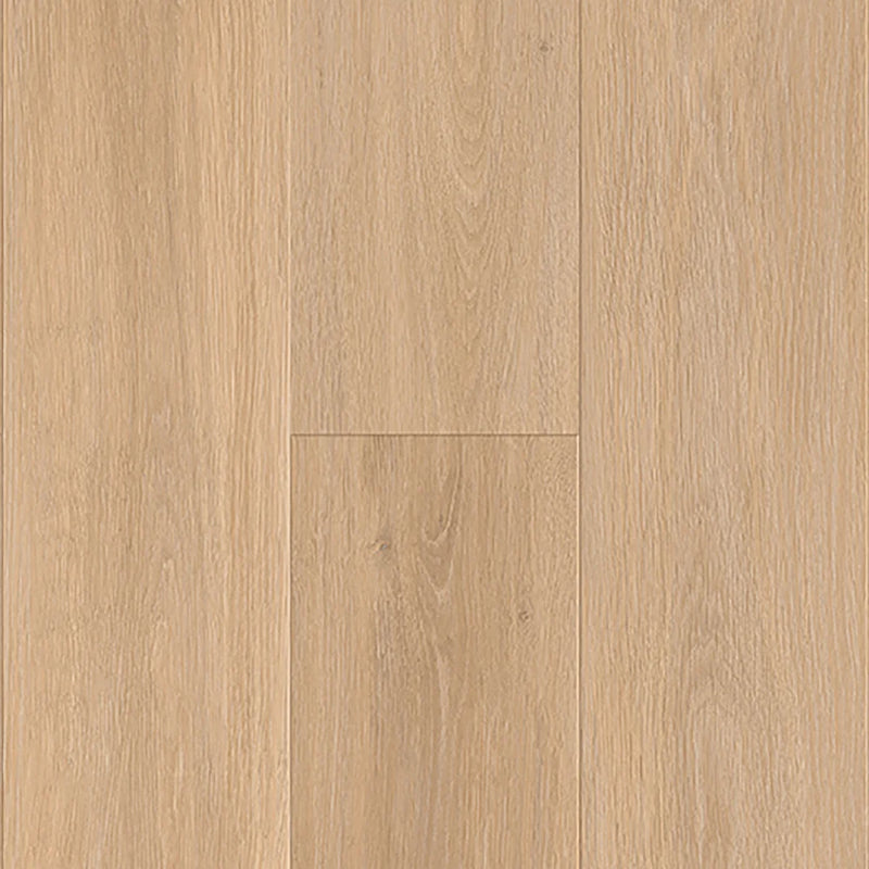 Pacific Vineyard Promontory 1/2'' x 7-1/2" x 4' AC4-Oak Laminate Flooring