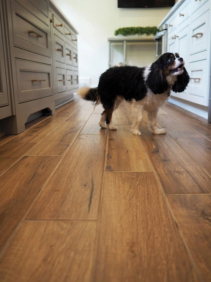 Palmetto Cognac 6x36 Matte Porcelain Wood Look Floor Plank