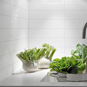 Paloma Cotton 1/2x12 Pencil Bullnose Glossy Ceramic/Porcelain Wall Trim