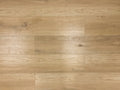 Paragon Renegade Tan 9x60 EIR Painted Bevel 20mil SPC Vinyl Flooring