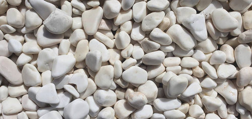 Close-up of White Dolomite Dolomite Honed 5 - 8CM (2 - 3 1/8 Inch) Large Bright White Ultra Pebbles, in White Dolomite tones.