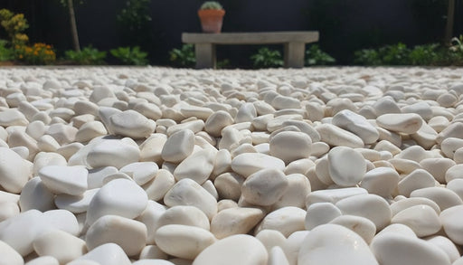 Close-up of White Dolomite Dolomite Honed 5 - 8CM (2 - 3 1/8 Inch) Large Bright White Ultra Pebbles, in White Dolomite tones.